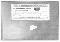 Kuehneola uredinis image